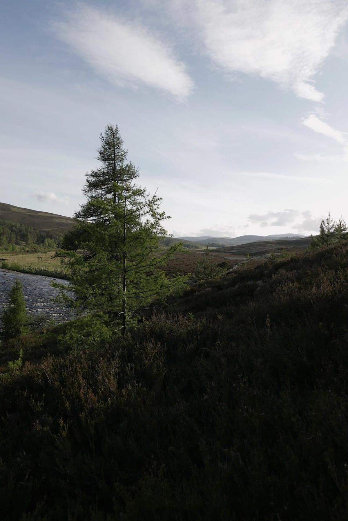 Huswell - Gairnshiel Lodge - Unique & Exclusive Lodge Next To The Castle バラター エクステリア 写真